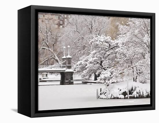 Snow covered trees with a footbridge in a public park, Boston Public Garden, Boston, Massachusetts,-Mark Hunt-Framed Stretched Canvas