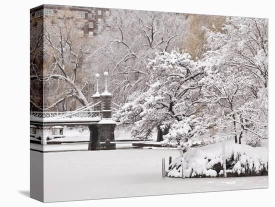 Snow covered trees with a footbridge in a public park, Boston Public Garden, Boston, Massachusetts,-Mark Hunt-Stretched Canvas