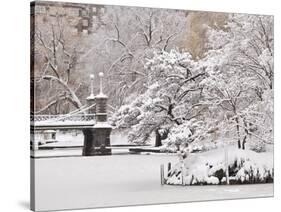 Snow covered trees with a footbridge in a public park, Boston Public Garden, Boston, Massachusetts,-Mark Hunt-Stretched Canvas