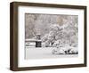 Snow covered trees with a footbridge in a public park, Boston Public Garden, Boston, Massachusetts,-Mark Hunt-Framed Photographic Print