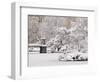 Snow covered trees with a footbridge in a public park, Boston Public Garden, Boston, Massachusetts,-Mark Hunt-Framed Photographic Print