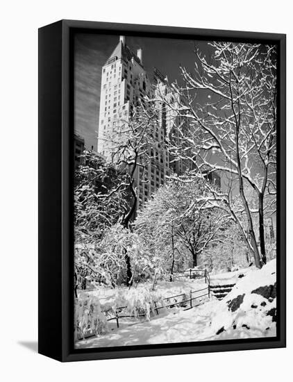 Snow-Covered Trees-null-Framed Stretched Canvas