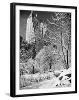 Snow-Covered Trees-null-Framed Premium Photographic Print