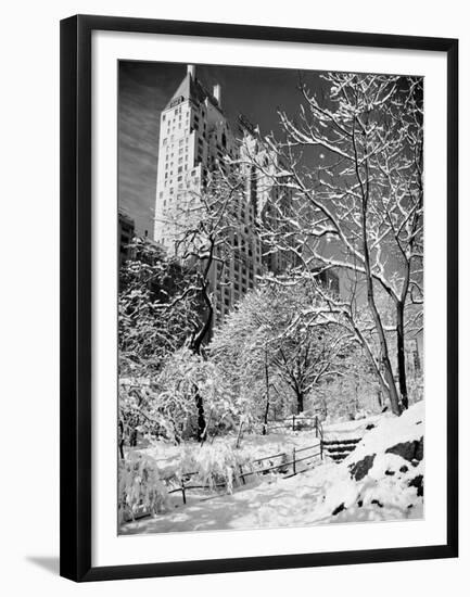 Snow-Covered Trees-null-Framed Premium Photographic Print