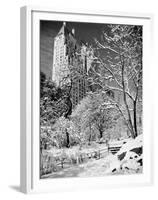 Snow-Covered Trees-null-Framed Premium Photographic Print