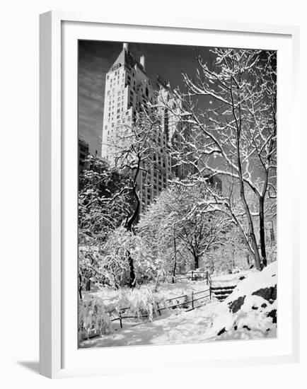 Snow-Covered Trees-null-Framed Premium Photographic Print