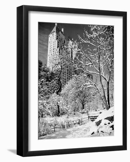 Snow-Covered Trees-null-Framed Photographic Print