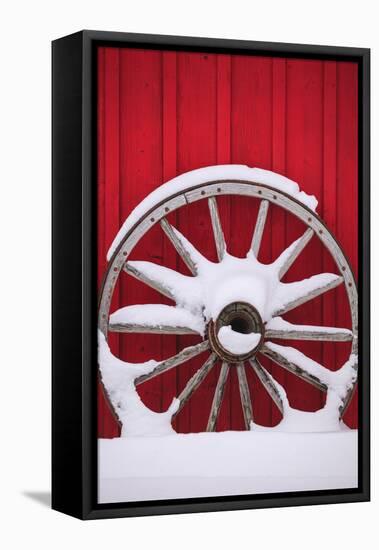 Snow-covered wagon wheels against red barn near town of Banff, Canadian Rockies, Alberta, Canada-Stuart Westmorland-Framed Stretched Canvas