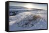 Snow-Covered Winter Landscape Near Gullfoss Waterfall, Iceland, Polar Regions-Lee Frost-Framed Stretched Canvas