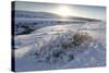 Snow-Covered Winter Landscape Near Gullfoss Waterfall, Iceland, Polar Regions-Lee Frost-Stretched Canvas