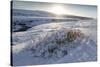 Snow-Covered Winter Landscape Near Gullfoss Waterfall, Iceland, Polar Regions-Lee Frost-Stretched Canvas