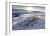 Snow-Covered Winter Landscape Near Gullfoss Waterfall, Iceland, Polar Regions-Lee Frost-Framed Photographic Print