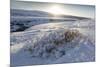 Snow-Covered Winter Landscape Near Gullfoss Waterfall, Iceland, Polar Regions-Lee Frost-Mounted Photographic Print