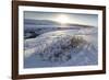 Snow-Covered Winter Landscape Near Gullfoss Waterfall, Iceland, Polar Regions-Lee Frost-Framed Photographic Print