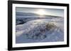 Snow-Covered Winter Landscape Near Gullfoss Waterfall, Iceland, Polar Regions-Lee Frost-Framed Photographic Print