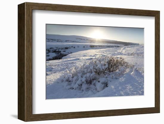 Snow-Covered Winter Landscape Near Gullfoss Waterfall, Iceland, Polar Regions-Lee Frost-Framed Photographic Print