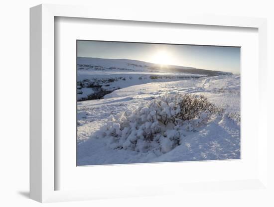 Snow-Covered Winter Landscape Near Gullfoss Waterfall, Iceland, Polar Regions-Lee Frost-Framed Photographic Print
