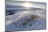 Snow-Covered Winter Landscape Near Gullfoss Waterfall, Iceland, Polar Regions-Lee Frost-Mounted Photographic Print