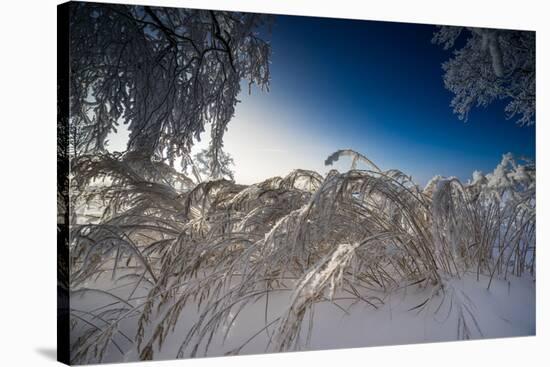 Snow-Covered Winter Scenery, Triebtal, Vogtland, Saxony, Germany-Falk Hermann-Stretched Canvas