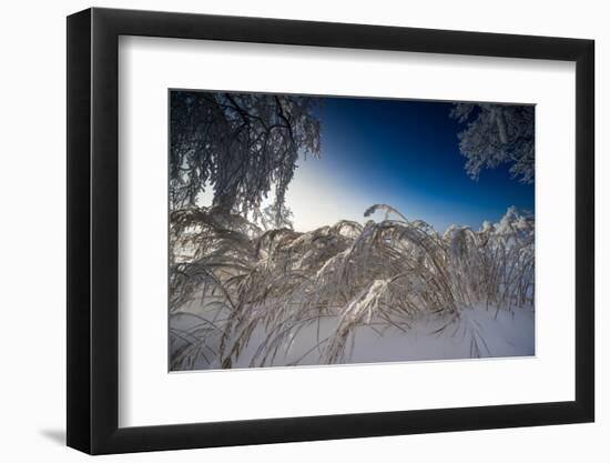 Snow-Covered Winter Scenery, Triebtal, Vogtland, Saxony, Germany-Falk Hermann-Framed Photographic Print