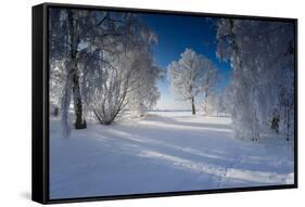 Snow-Covered Winter Scenery, Triebtal, Vogtland, Saxony, Germany-Falk Hermann-Framed Stretched Canvas