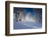 Snow-Covered Winter Scenery, Triebtal, Vogtland, Saxony, Germany-Falk Hermann-Framed Photographic Print