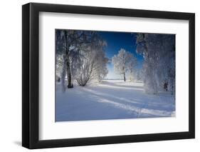 Snow-Covered Winter Scenery, Triebtal, Vogtland, Saxony, Germany-Falk Hermann-Framed Photographic Print