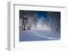 Snow-Covered Winter Scenery, Triebtal, Vogtland, Saxony, Germany-Falk Hermann-Framed Photographic Print