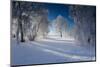 Snow-Covered Winter Scenery, Triebtal, Vogtland, Saxony, Germany-Falk Hermann-Mounted Photographic Print