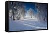 Snow-Covered Winter Scenery, Triebtal, Vogtland, Saxony, Germany-Falk Hermann-Framed Stretched Canvas