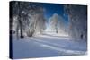 Snow-Covered Winter Scenery, Triebtal, Vogtland, Saxony, Germany-Falk Hermann-Stretched Canvas