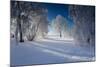 Snow-Covered Winter Scenery, Triebtal, Vogtland, Saxony, Germany-Falk Hermann-Mounted Photographic Print