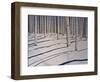 Snow Covered Woods-Tina Palmer-Framed Giclee Print