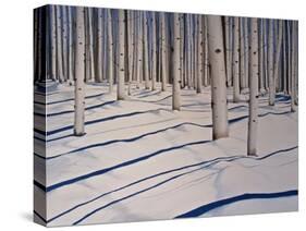 Snow Covered Woods-Tina Palmer-Stretched Canvas