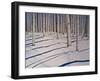 Snow Covered Woods-Tina Palmer-Framed Giclee Print