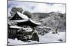 Snow-covered Zen garden in Kodai-ji Temple, Kyoto, Japan, Asia-Damien Douxchamps-Mounted Photographic Print