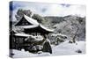 Snow-covered Zen garden in Kodai-ji Temple, Kyoto, Japan, Asia-Damien Douxchamps-Stretched Canvas