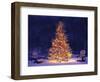 Snow Covering Adirondack Chairs by Lit Christmas Tree-Jim Craigmyle-Framed Photographic Print