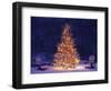 Snow Covering Adirondack Chairs by Lit Christmas Tree-Jim Craigmyle-Framed Photographic Print