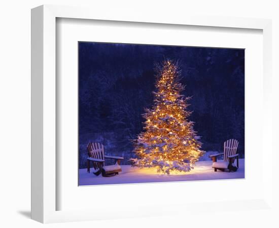 Snow Covering Adirondack Chairs by Lit Christmas Tree-Jim Craigmyle-Framed Photographic Print