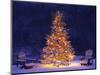 Snow Covering Adirondack Chairs by Lit Christmas Tree-Jim Craigmyle-Mounted Photographic Print