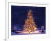 Snow Covering Adirondack Chairs by Lit Christmas Tree-Jim Craigmyle-Framed Photographic Print