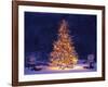 Snow Covering Adirondack Chairs by Lit Christmas Tree-Jim Craigmyle-Framed Photographic Print