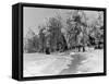 Snow Covering Countryside Near Lake Ladoga-Carl Mydans-Framed Stretched Canvas