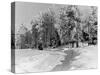 Snow Covering Countryside Near Lake Ladoga-Carl Mydans-Stretched Canvas