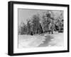 Snow Covering Countryside Near Lake Ladoga-Carl Mydans-Framed Photographic Print