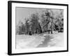 Snow Covering Countryside Near Lake Ladoga-Carl Mydans-Framed Photographic Print