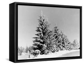 Snow Covering Countryside Near Lake Ladoga-Carl Mydans-Framed Stretched Canvas