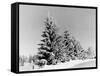 Snow Covering Countryside Near Lake Ladoga-Carl Mydans-Framed Stretched Canvas