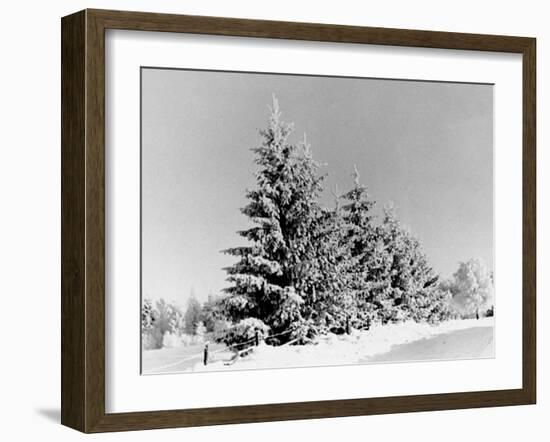 Snow Covering Countryside Near Lake Ladoga-Carl Mydans-Framed Photographic Print